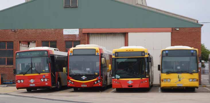 Adelaide Metro Volvo B10BLE Volgren CR222L 1365 & 1306, Scania K320UB Custom CB80 1963 & Bustech XDi 1907